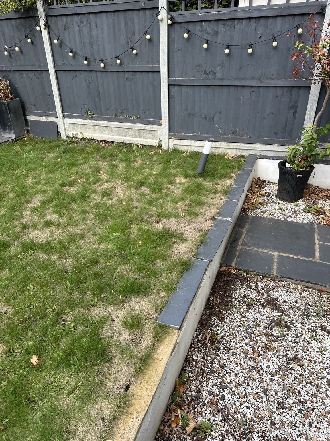Original garden before transformation